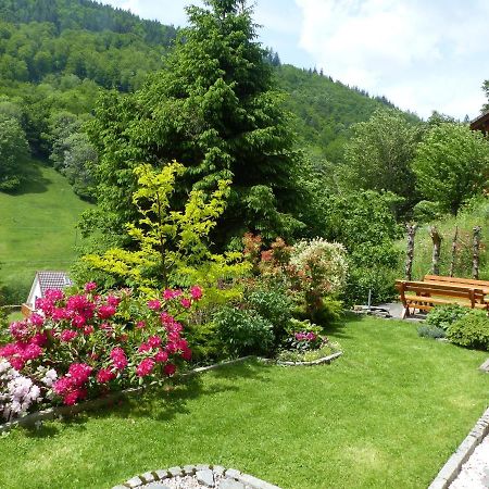 Haus Zur Eule Apartment Todtnau Bagian luar foto