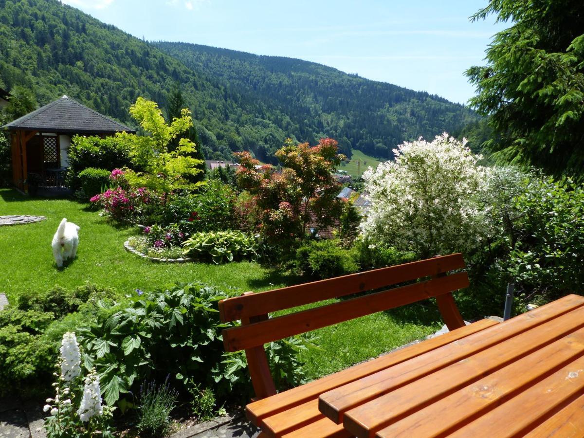 Haus Zur Eule Apartment Todtnau Bagian luar foto